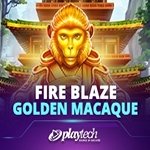 Fire Blaze: Golden Macaque